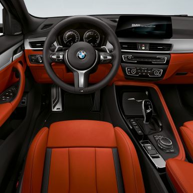 M Leather steering BMW X2 M35i M leather steering BMW X2 M35i F39 interior